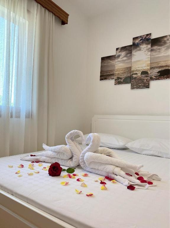 Arlind'S Apartaments Vlorë 外观 照片